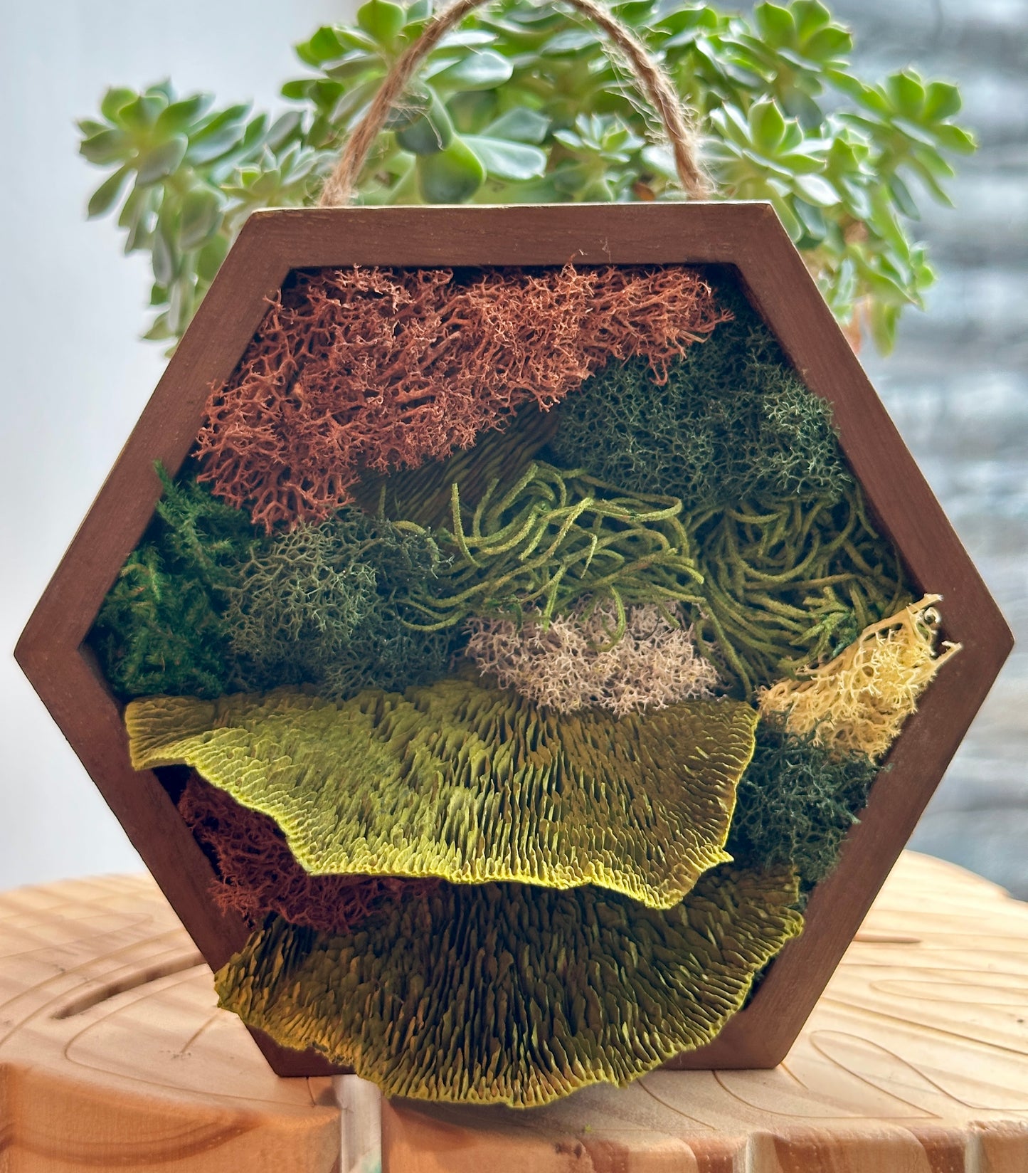 Moss Art