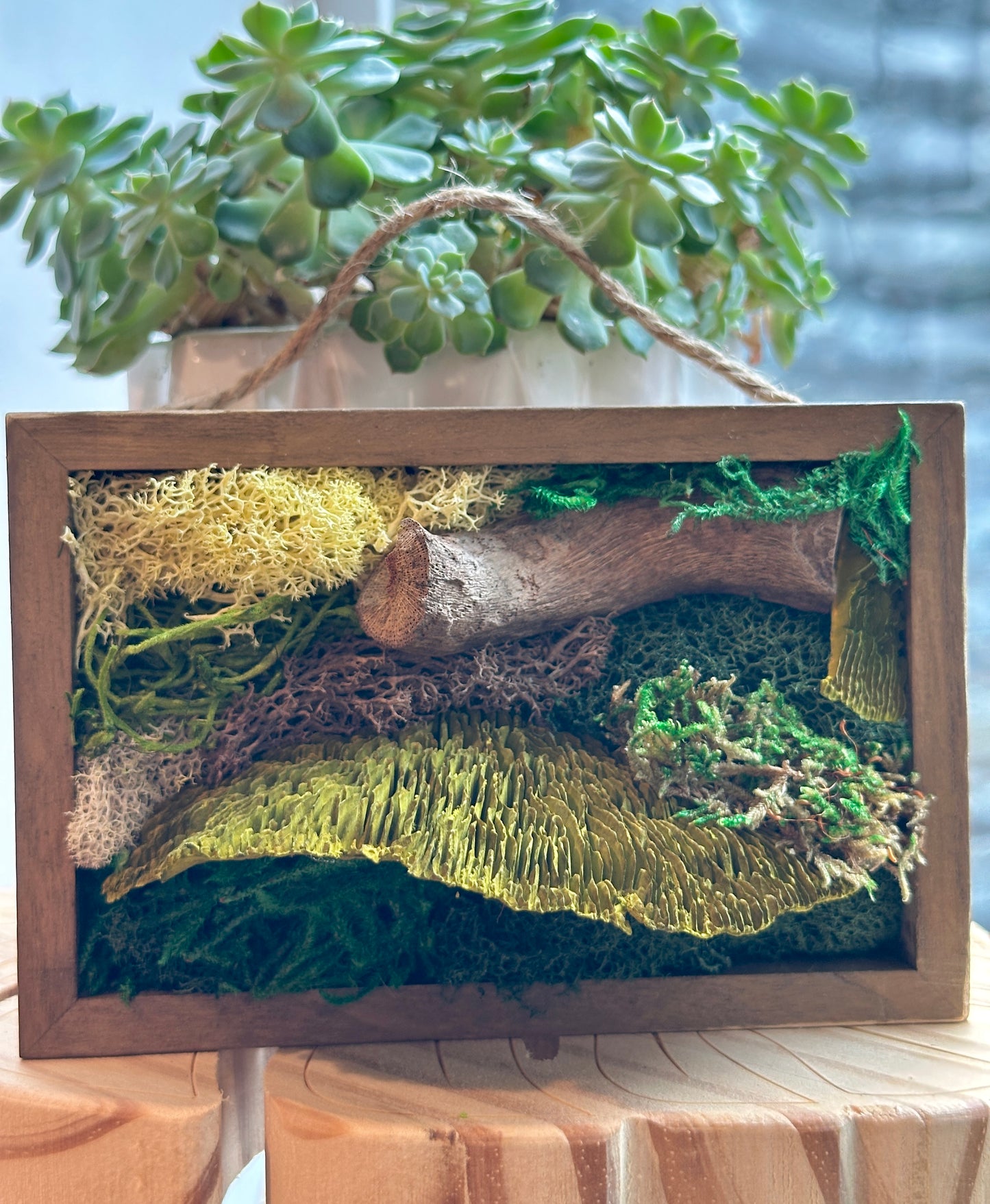 Moss Art