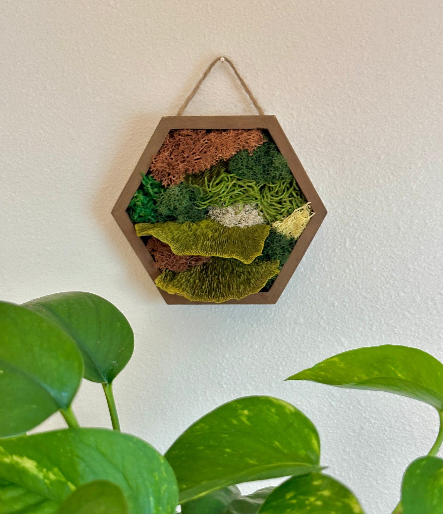 Moss Art