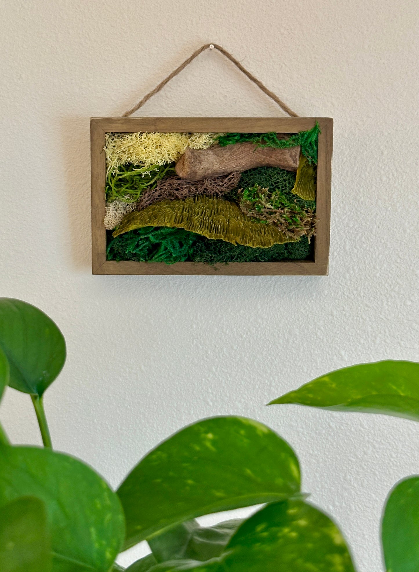 Moss Art