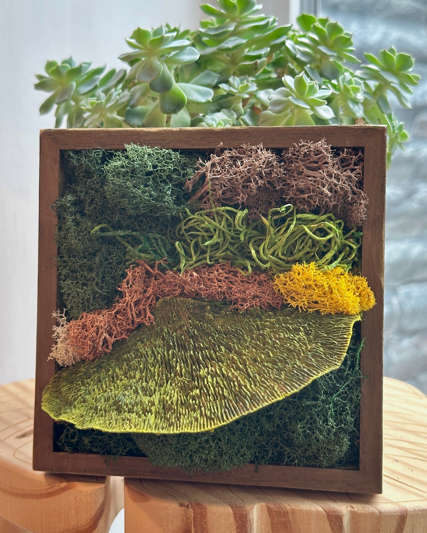 Moss Art