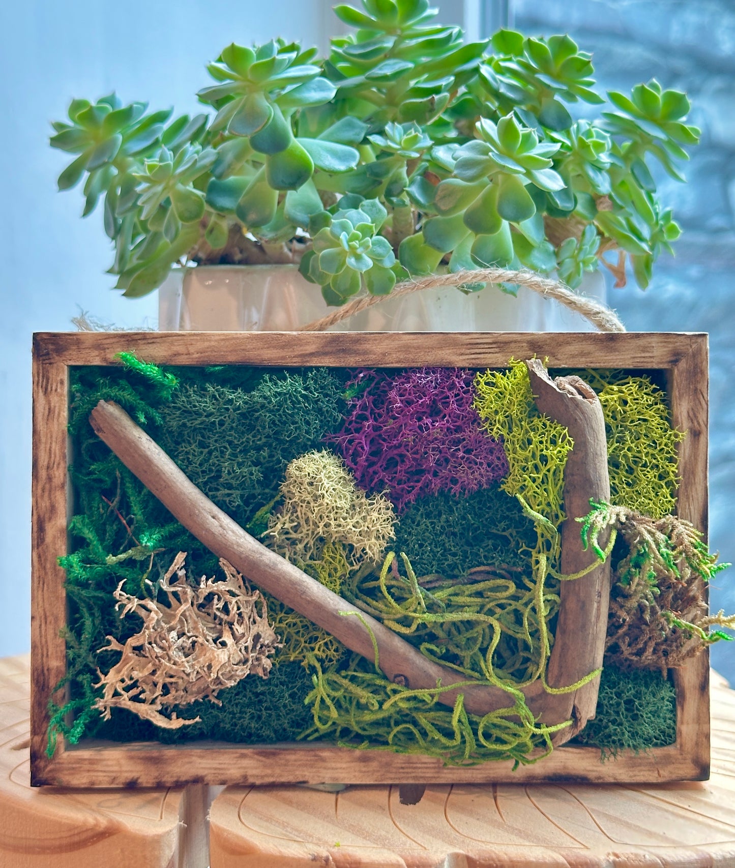 Moss Art