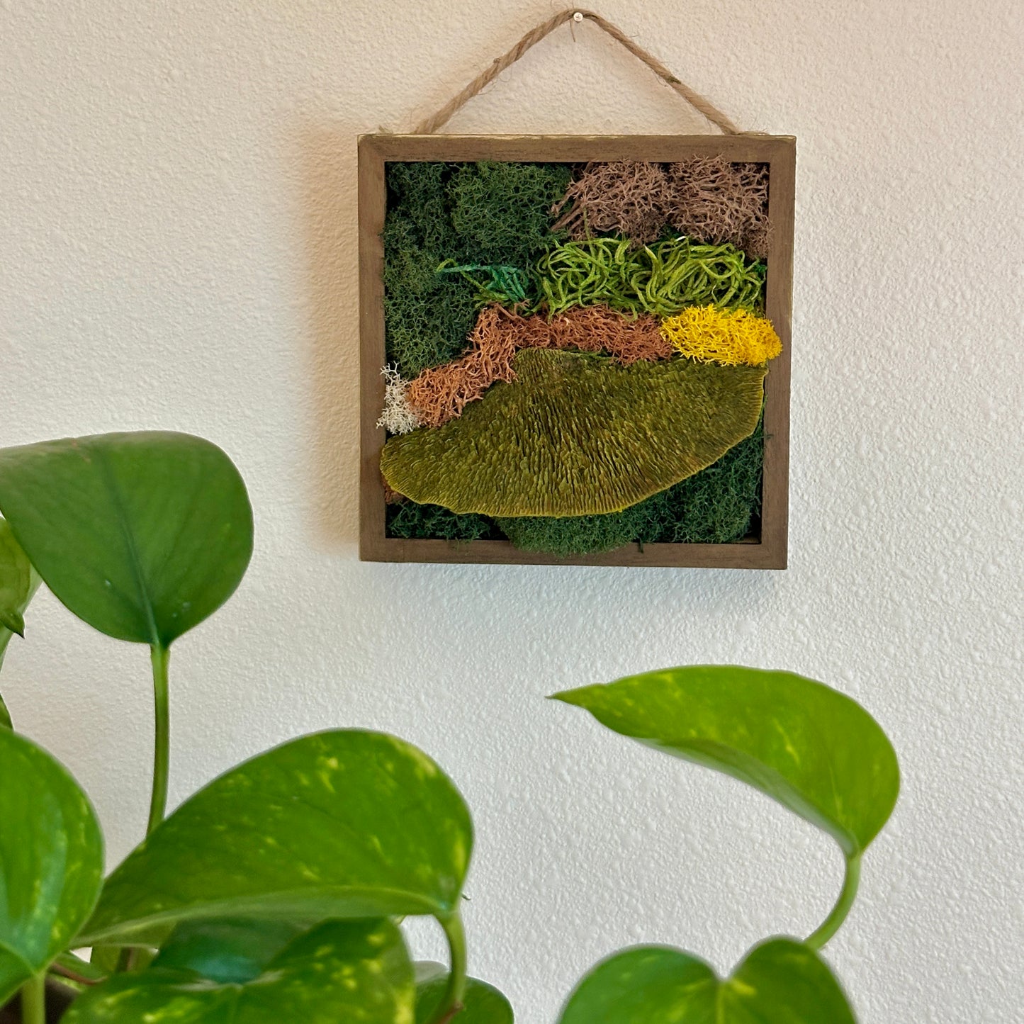 Moss Art