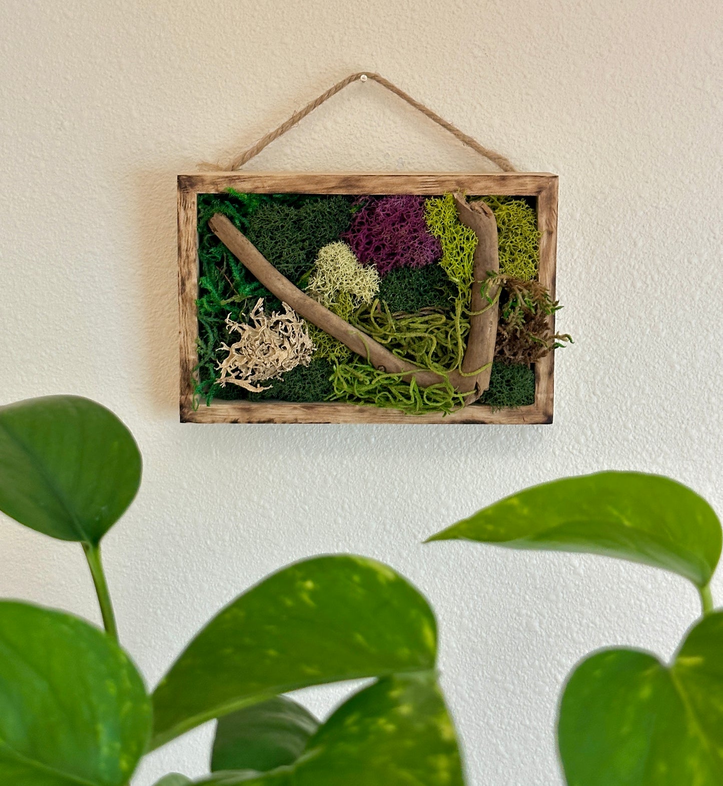 Moss Art